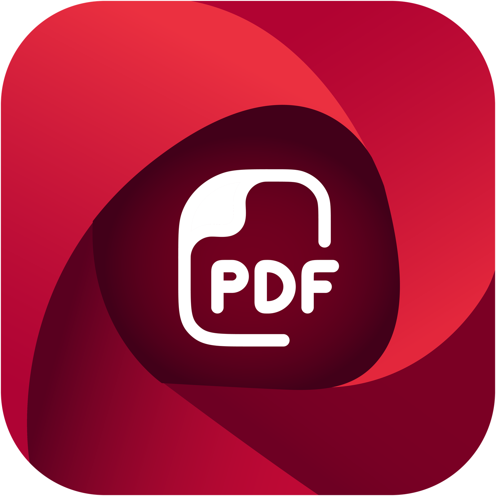 Piludi – PDF Converter
